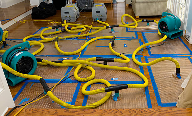 Professional Emergency Water Removal technician working in Delton, MI